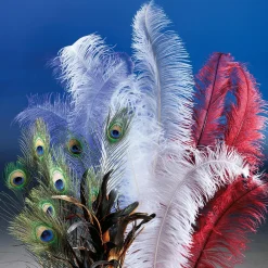 Pluma De Avestruz, Color Blanco