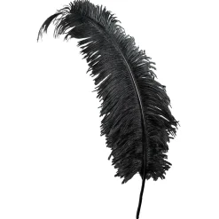 Pluma De Avestruz, Color Negro