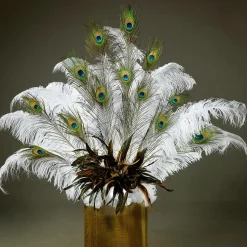 Plumas De Pavo Real, 10 Piezas