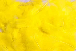 Plumas Decorativas Amarillas, 20 G