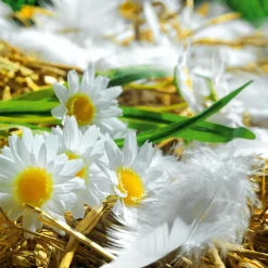 Plumas Decorativas Blancas, 20 G