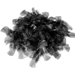 Plumas Decorativas Negras, 20 G