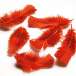 Plumas Decorativas Rojas, 20 G