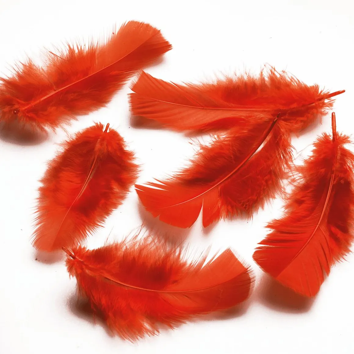 Plumas Decorativas Rojas, 20 G