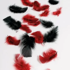 Plumas Decorativas Rojas, 20 G