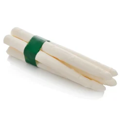 Racimo De Espárragos, Blanco -maniquí 22 Cm