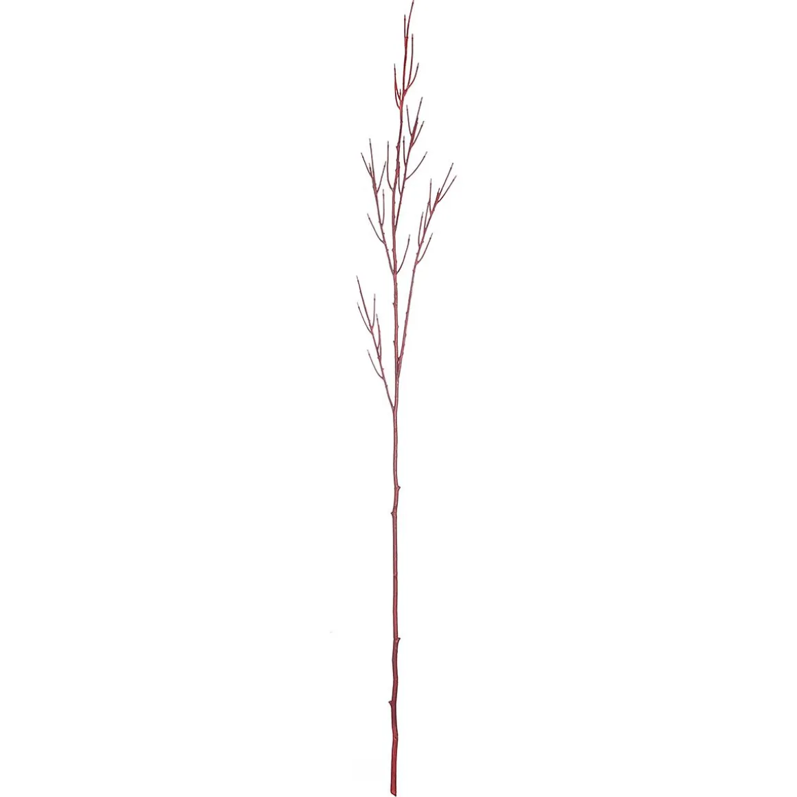 Rama De Decoración Cornus Rojo 130 Cm