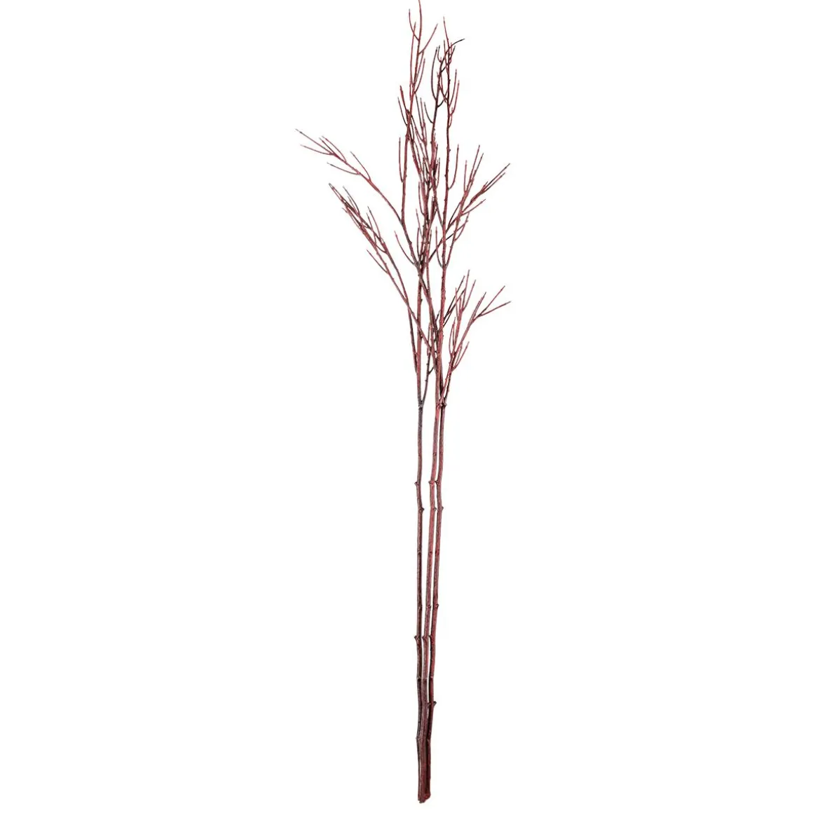 Rama De Decoración Cornus Rojo 130 Cm