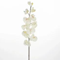 Rama De Orquídea Deco Blanca 110 Cm