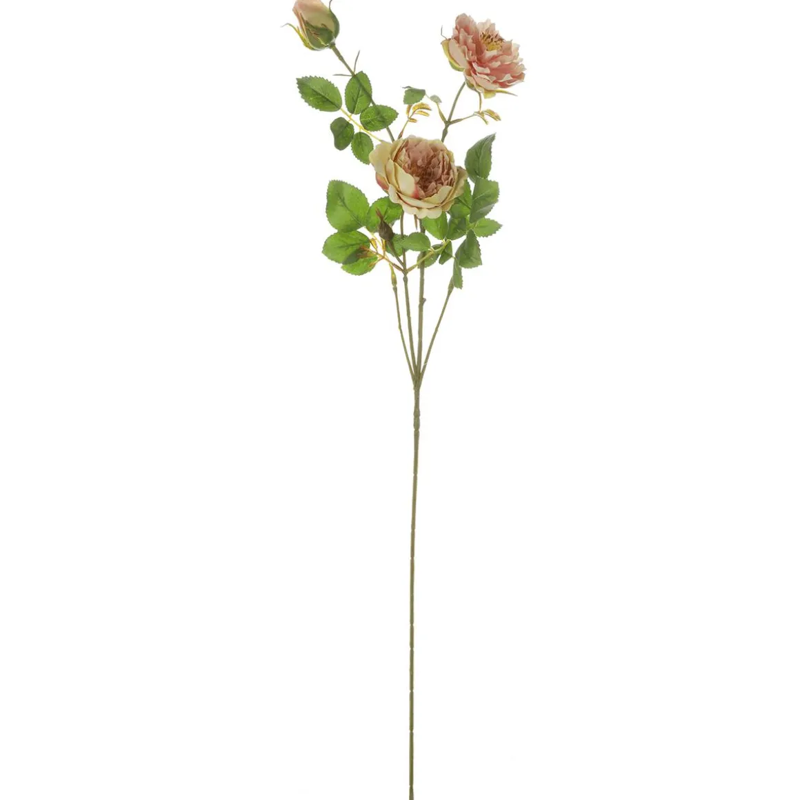Rama De Rosa Inglesa Artificial, Rosa