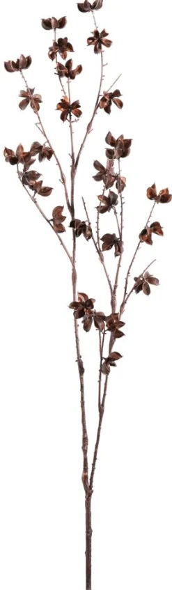 Rama Decorativa Infrutescencia Del Algodón 110 Cm