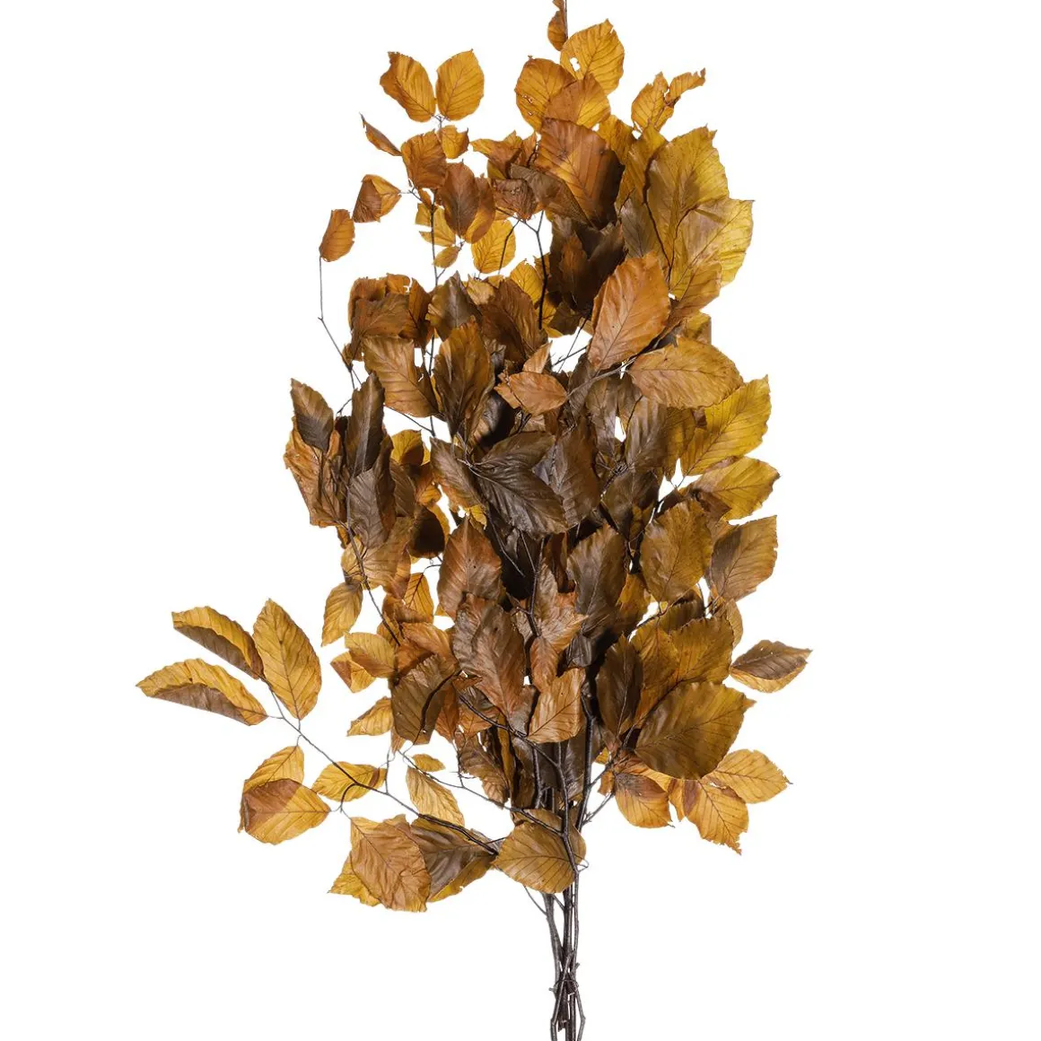 Ramitas De Haya Auténticas, Amarillo - Naranja 80 Cm
