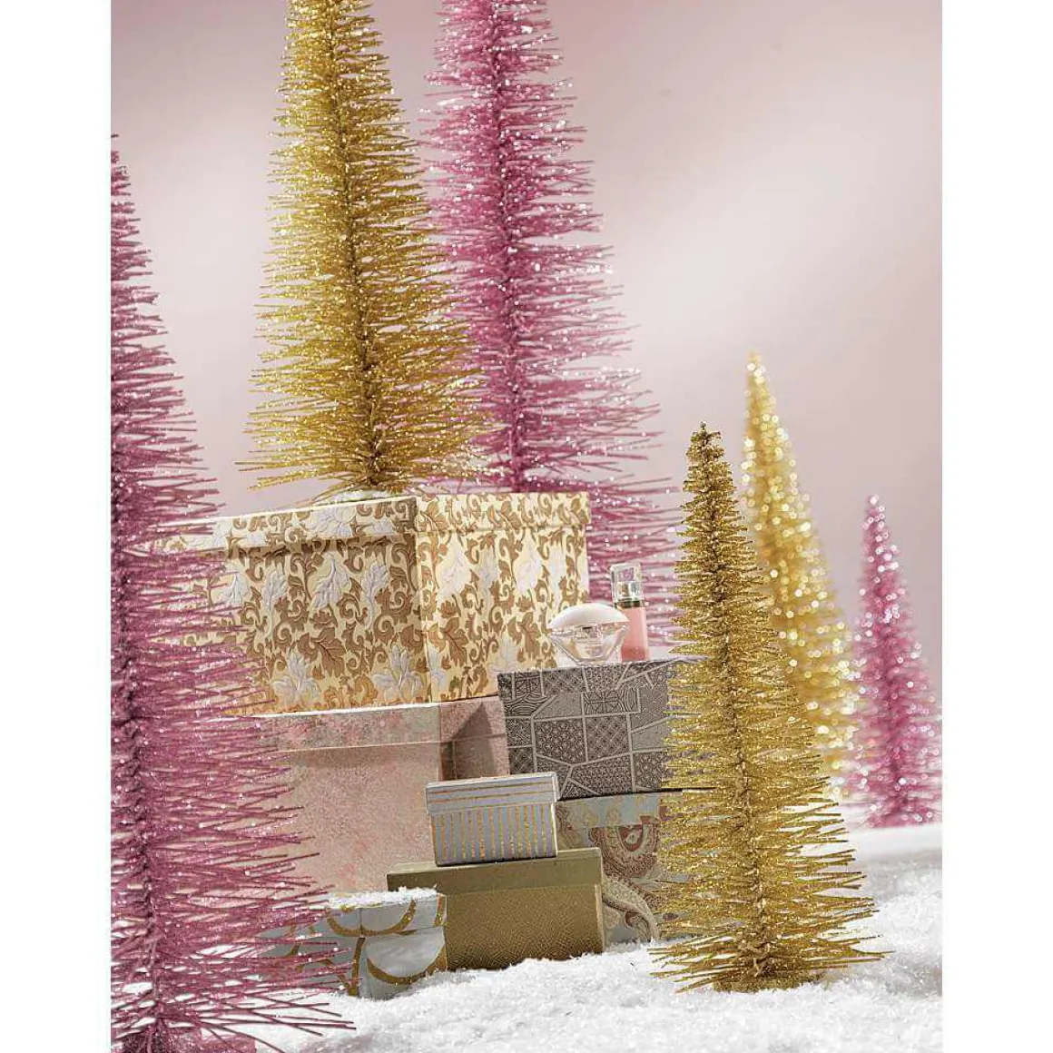 Árbol De Cepillo Oro, 120 Cm