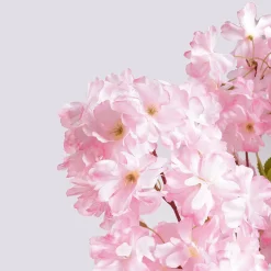 Árbol De Cerezo Artificial Con Placa De Soporte, 180 Cm