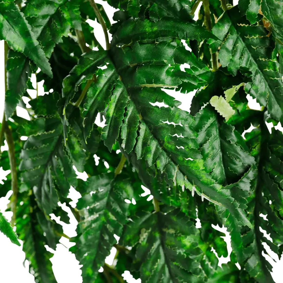 Árbol De Helechos De Flor 190cm