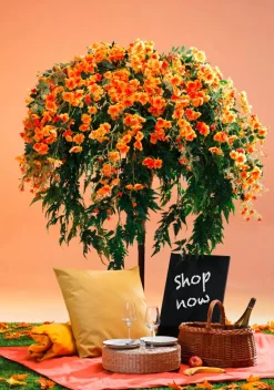 Árbol De Helechos De Flor 190cm