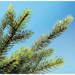 Árbol De Navidad Artificial Abeto Douglas Con LED 210 Cm