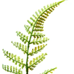 Recogida De Helecho Artificial Ø 30 Cm
