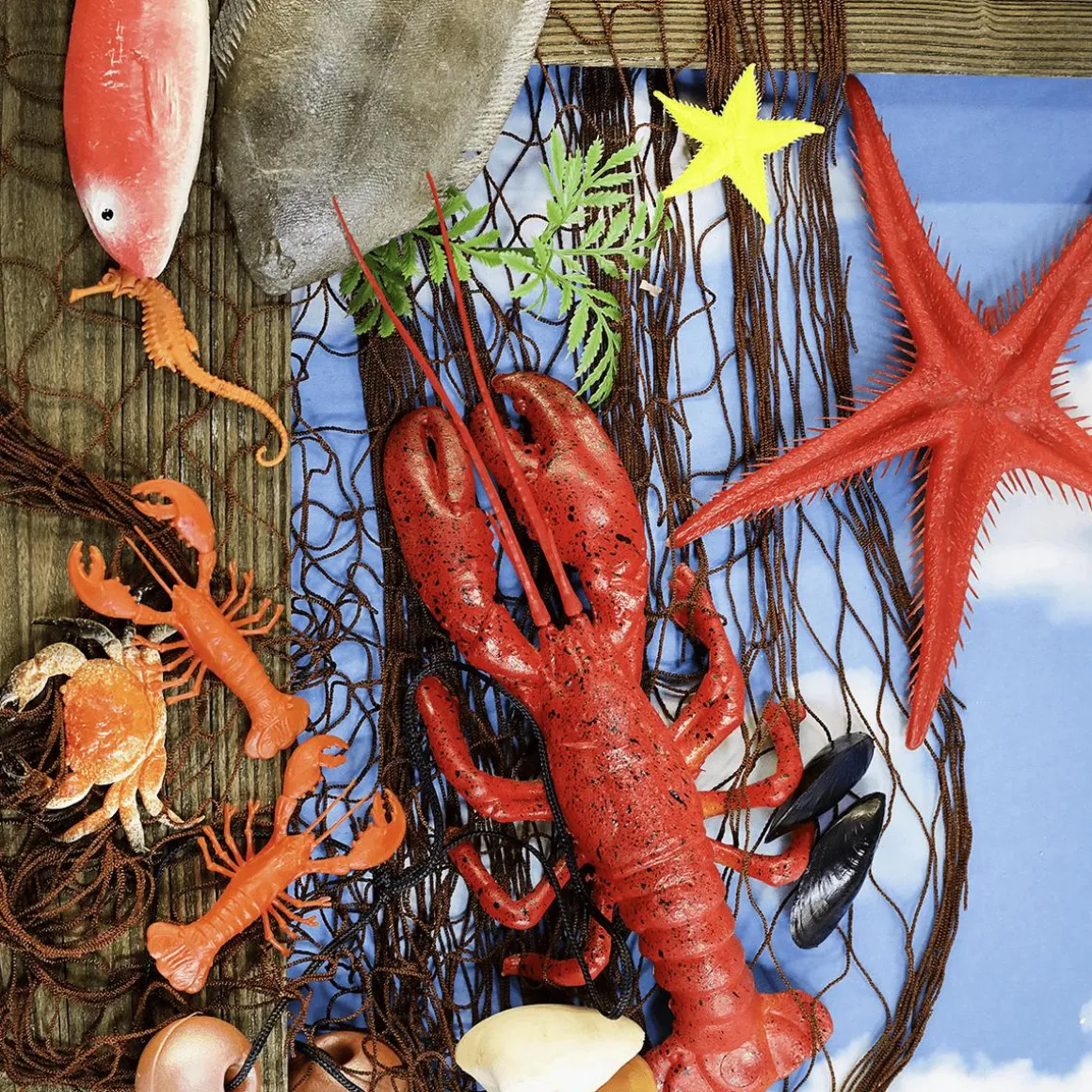 Red De Pesca Marítima Con Animales Marinos