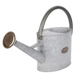 Regadera De Zinc De 47 Cm