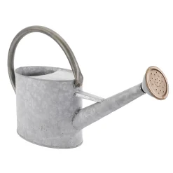 Regadera De Zinc De 47 Cm