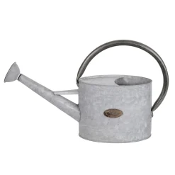 Regadera De Zinc De 47 Cm