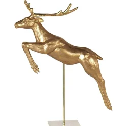 Reno 165 Cm, Saltarín