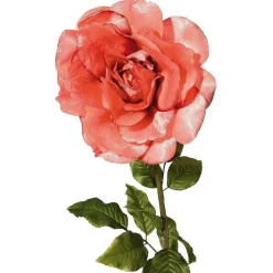 Rosa Artificial, Albaricoque 116 Cm
