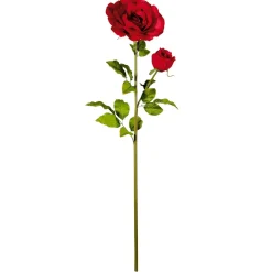 Rosa Gigante Con Brote, 120 Cm, Ø 25 Cm