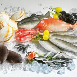 Sardinas Con Rama Alimento De Imitación 35 Cm