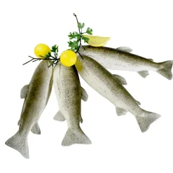 Sarta De Truchas Alimento De Imitación 35 Cm