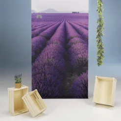Set De Decoración Lavanda Provenza