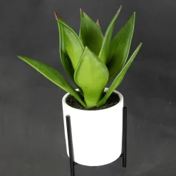 Suculenta Artificial En Maceta Blanca 27 Cm