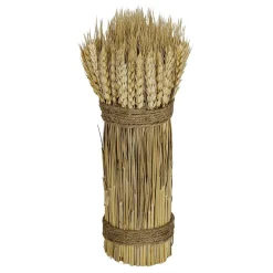 Tallos De Trigo Seco 2-atado 8 X 28 Cm