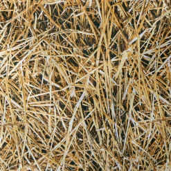 Tejido Decorativo "Paja", Anchura: 150 Cm