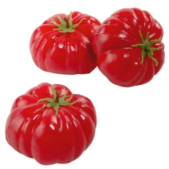 Tomates Alimento De Imitación