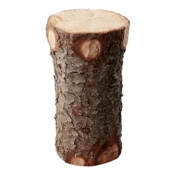 Tronco Decorativo, Longitud 50 Cm
