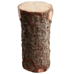 Tronco Decorativo, Longitud 70 Cm