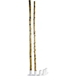 Troncos De Abedul Decorativos, 170 Cm, 5 Piezas