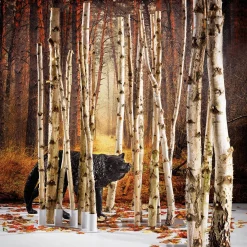 Troncos De Abedul Decorativos, 170 Cm, 5 Piezas