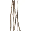 Troncos De Abedul Decorativos, 220 Cm