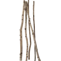 Troncos De Abedul Decorativos, 220 Cm