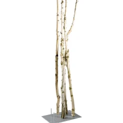 Troncos De Abedul Decorativos, 220 Cm