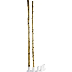 Troncos De Abedul Decorativos, 220 Cm
