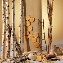 Troncos De Abedul Decorativos, 220 Cm
