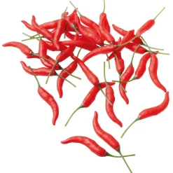 Vainas De Chili Alimento De Imitación, 36 Piezas