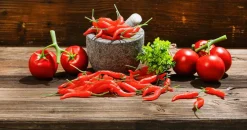 Vainas De Chili Alimento De Imitación, 36 Piezas