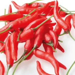 Vainas De Chili Alimento De Imitación, 36 Piezas