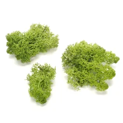 Verdadero Musgo Natural 500 G