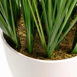 XXL Deco Tiger Grass En Maceta Blanca 120 Cm